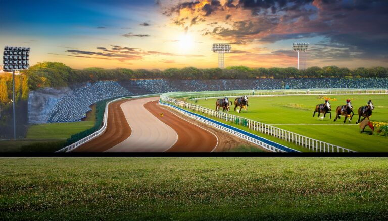 How To Watch Reddy Book Live Free Without Registration?